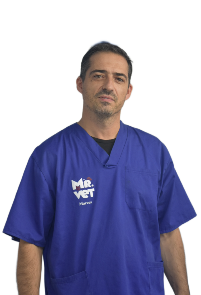 Clínica Mr Vet, Marcos