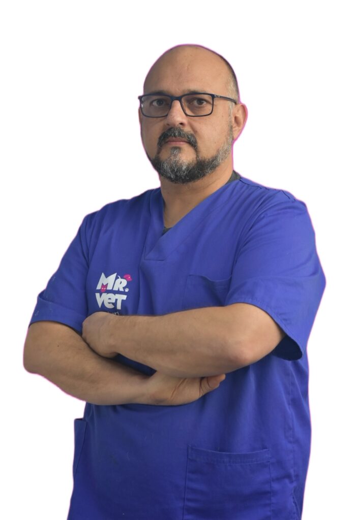 Clínica Mr Vet, Roberto